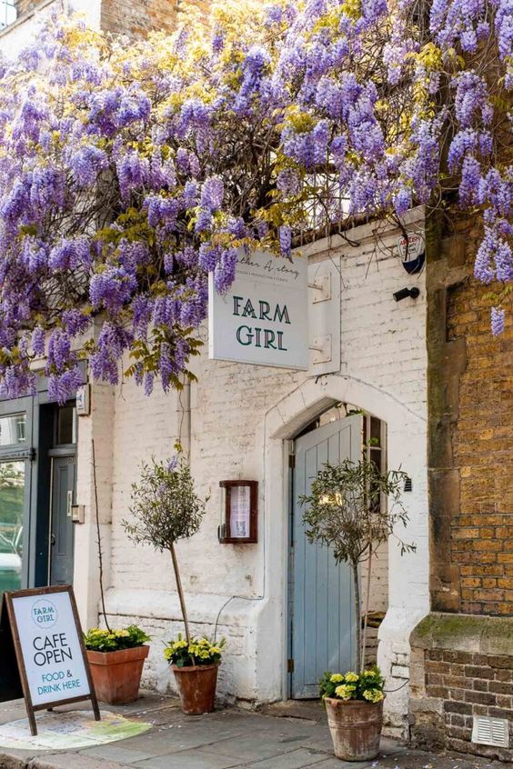 Restaurant façade in Notting Hill