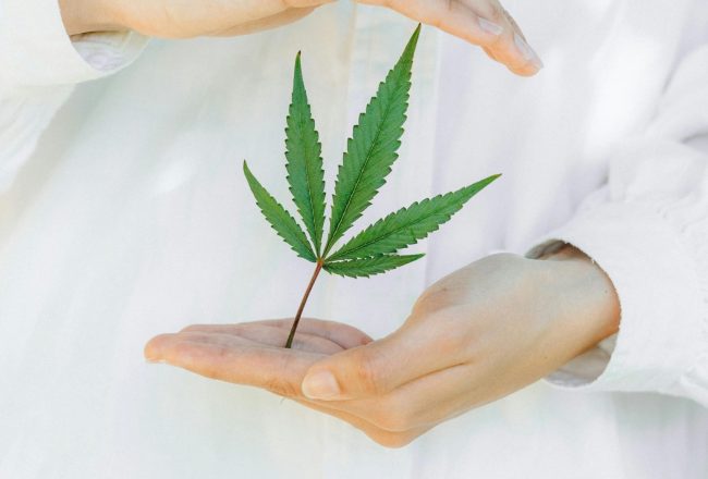 Les resines de CBD le secret dune meditation plus profonde Modalova scaled
