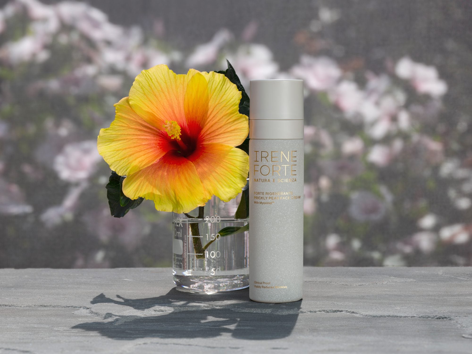 Berlin: Schöner Ausbruch im Irene Forte Spa des Hotel de Rome 10 Prickly Pear 0 1