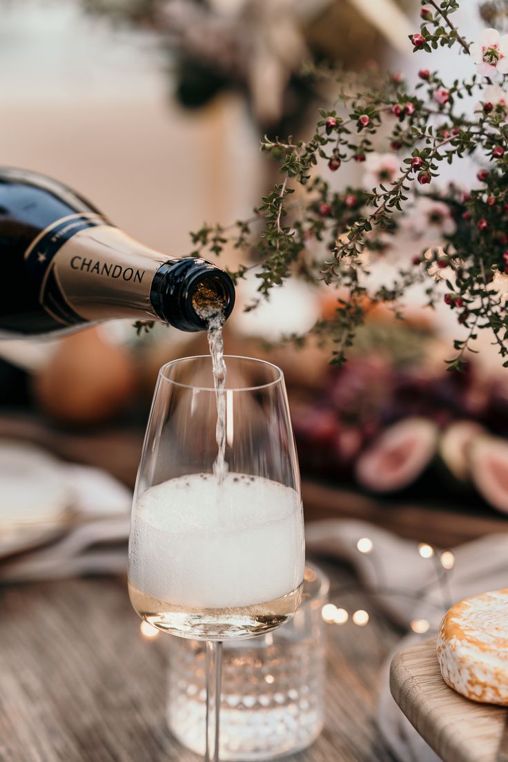 MODALOVA Der richtige Moment der passende Schaumwein Stilvoll feiern mit Charakter Champagne