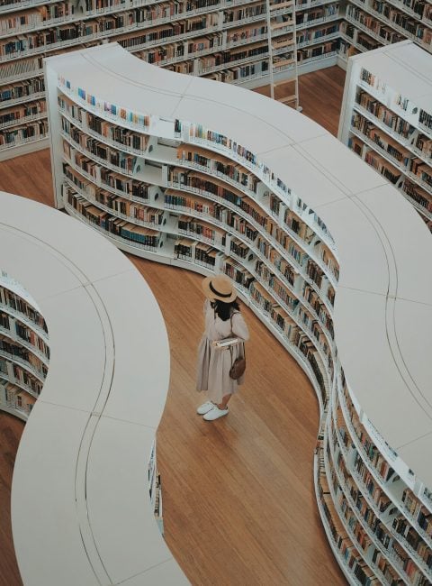 Lesen mit Stil Wie Bucherregale zum Statement werden Modalova scaled