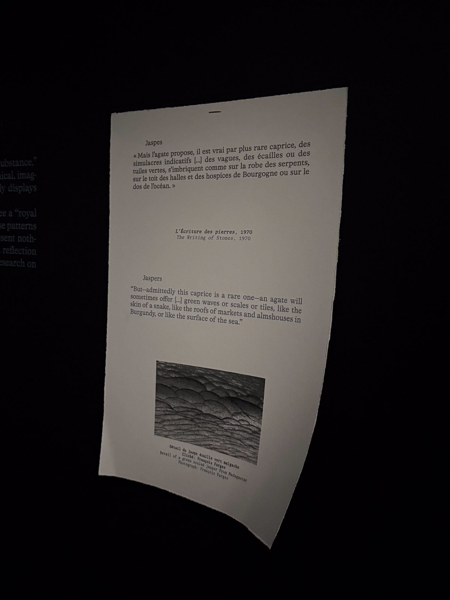 Text Jaspis Roger Caillois Ausstellung Traumwelten der Steine