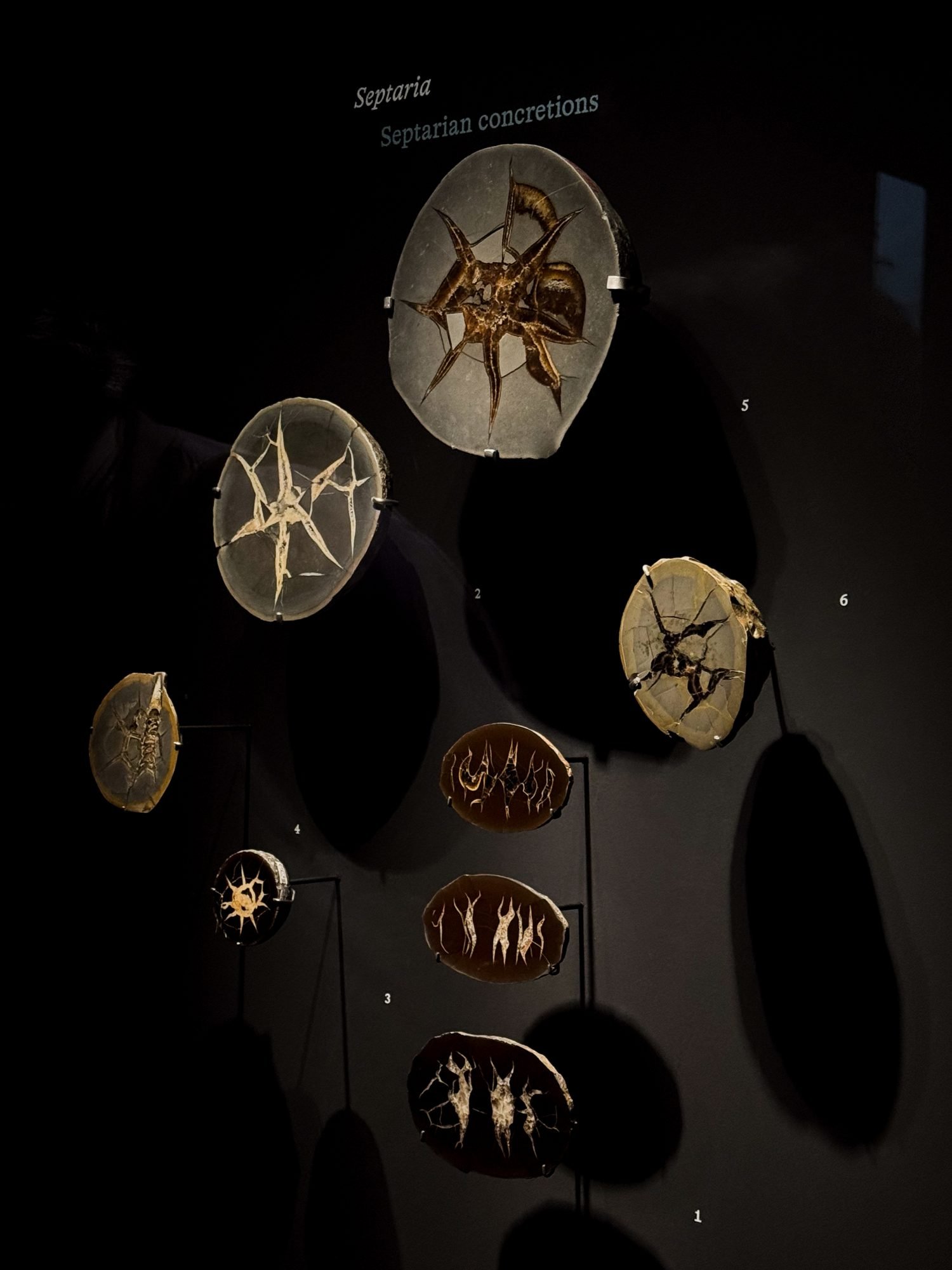 Septaria Mineralien Ausstellung Traumwelten der Steine École des Arts Joailliers