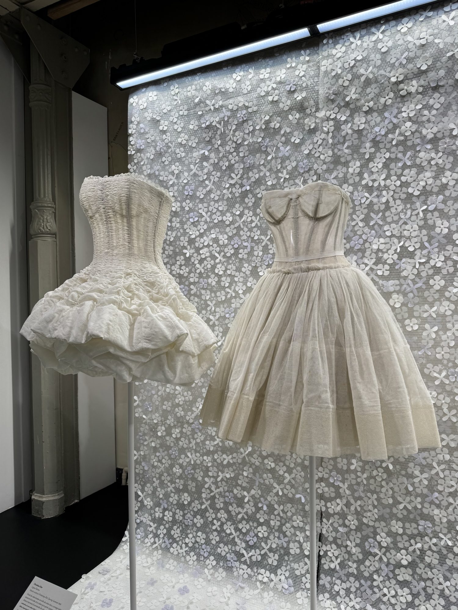Kleider Dior und Alaïa, Modeausstellung Paris, Foto Pauline PINOT