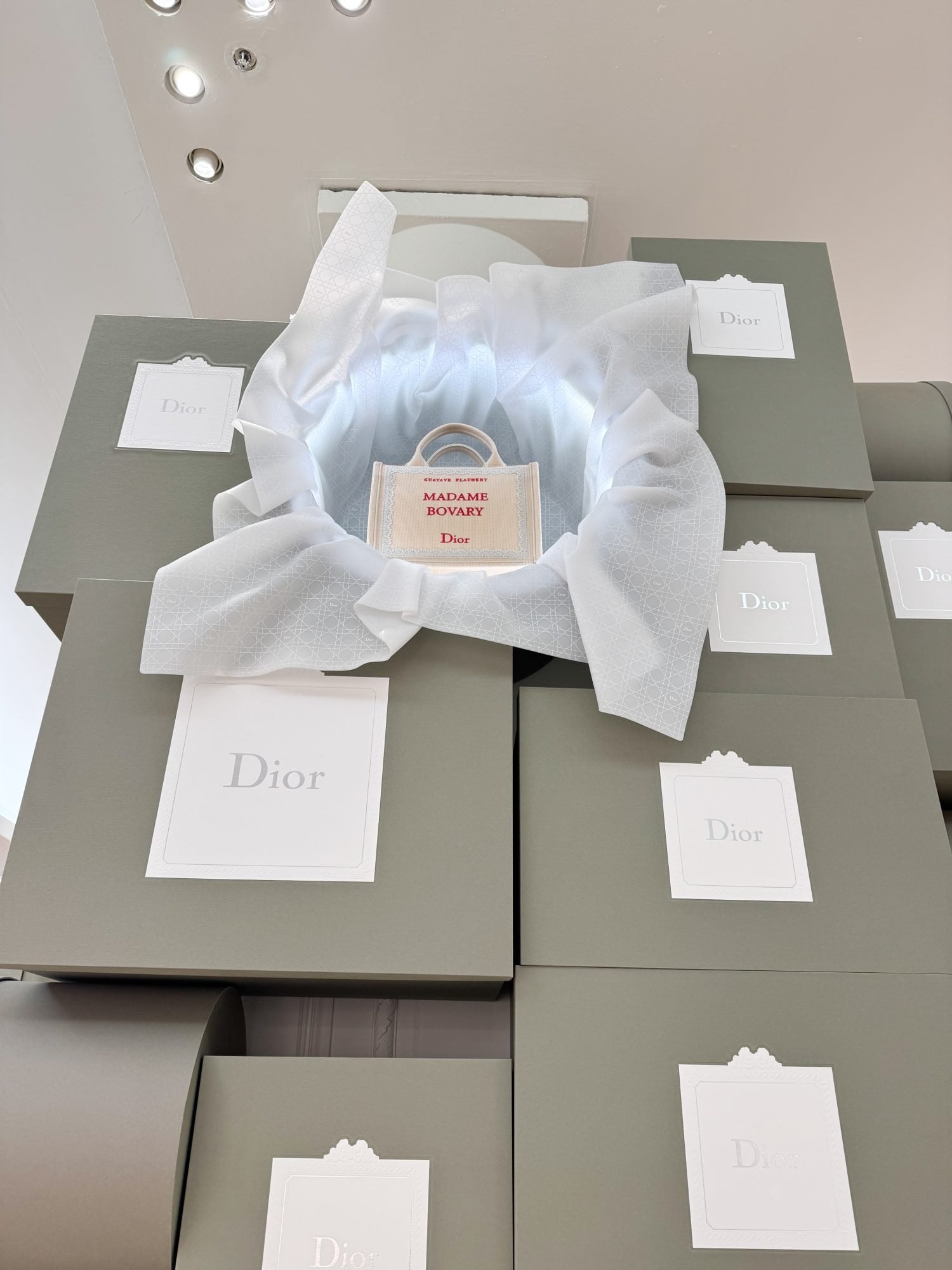 Letzte Tage, um den Dior Pop-up im Bon Marché zu entdecken 5 Dior Book Tote Pop-up Le Bon Marché Foto Pauline PINOT