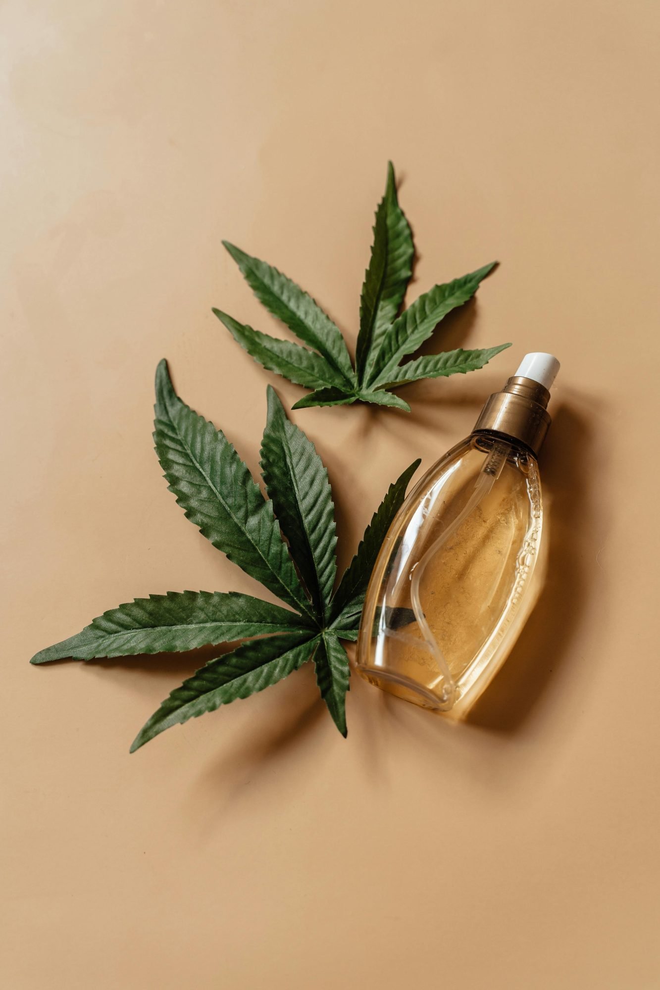 Les nouveaux ingredients apaisants de la skincare Peau saine les habitudes qui font la difference Modalova